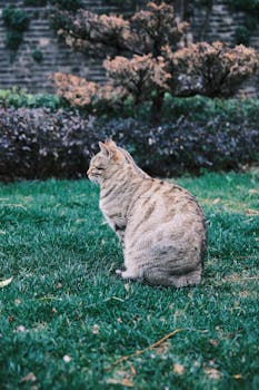  AI浪潮下实体资产重估加速；公用事业赛道迎来配置窗口。 股票财经 AI浪潮下实体资产重估加速；公用事业赛道迎来配置窗口。 股票财经 AI浪潮下实体资产重估加速；公用事业赛道迎来配置窗口。 股票财经