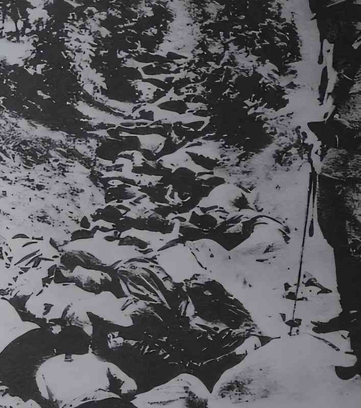  南京大屠杀深层剖析：命令链条与制度性暴行的技术还原 新闻