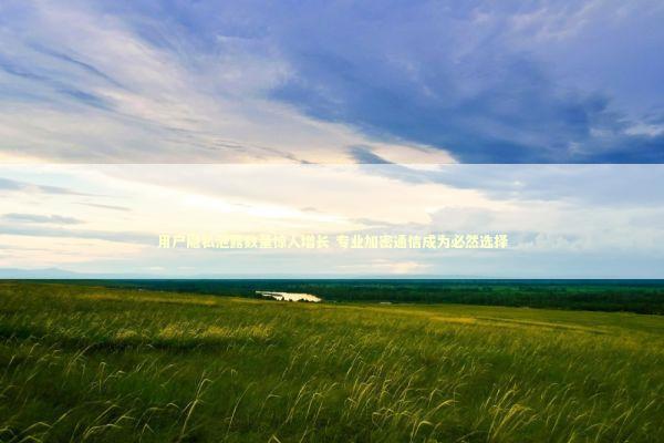 用户隐私泄露数量惊人增长 专业加密通信成为必然选择 新闻